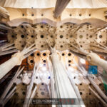 Plafond et colonnes de la Sagrada Familia à Barcelone